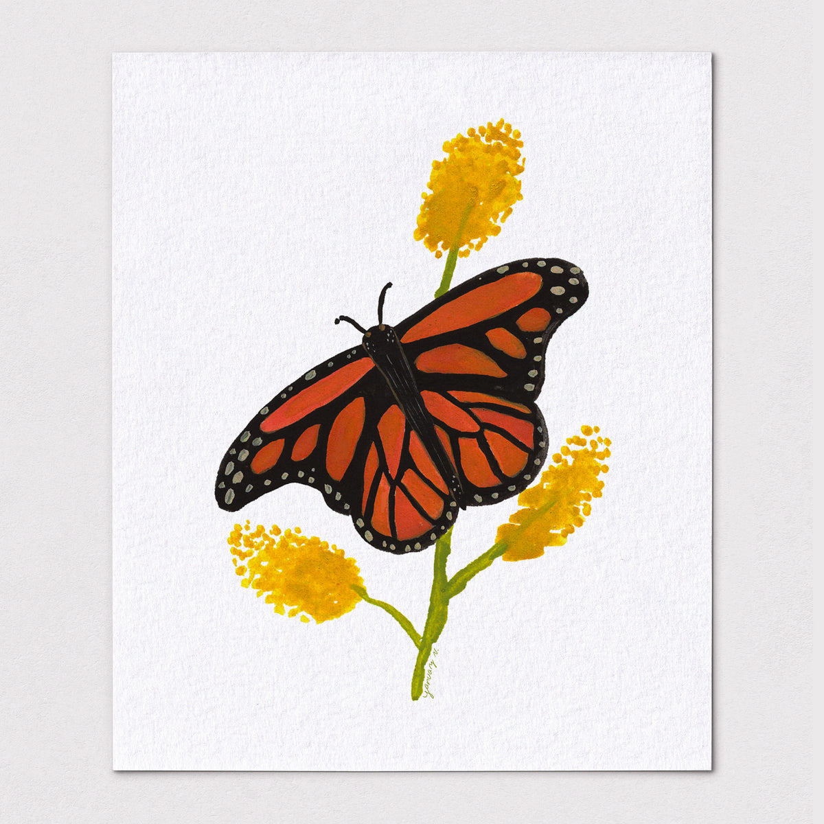 The Monarch - Archival Fine Art Print