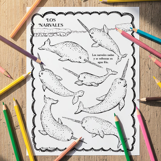 Narvales (Narwhals) - Coloring Sheet
